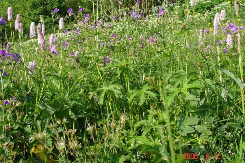 Charmantes, traditionelles Holzhaus - foto 29