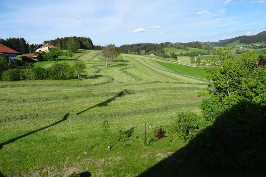 255492 - foto 6
