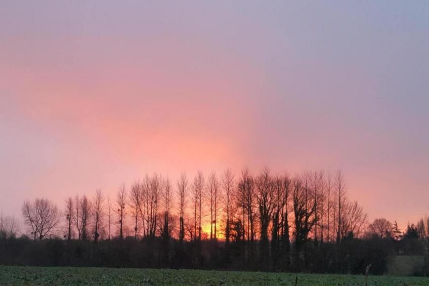 Gîte Saint-Gilles-les-Bois - foto 35