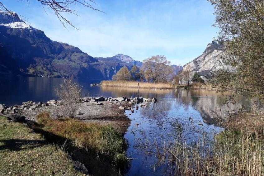 Ferienwohnung - foto 15