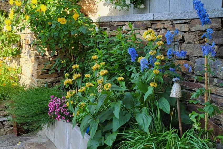 Familienidyll - foto 20