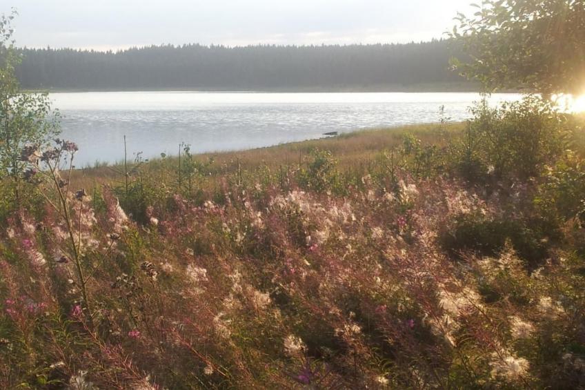 Fewo "Auersberg" WGH - foto 10