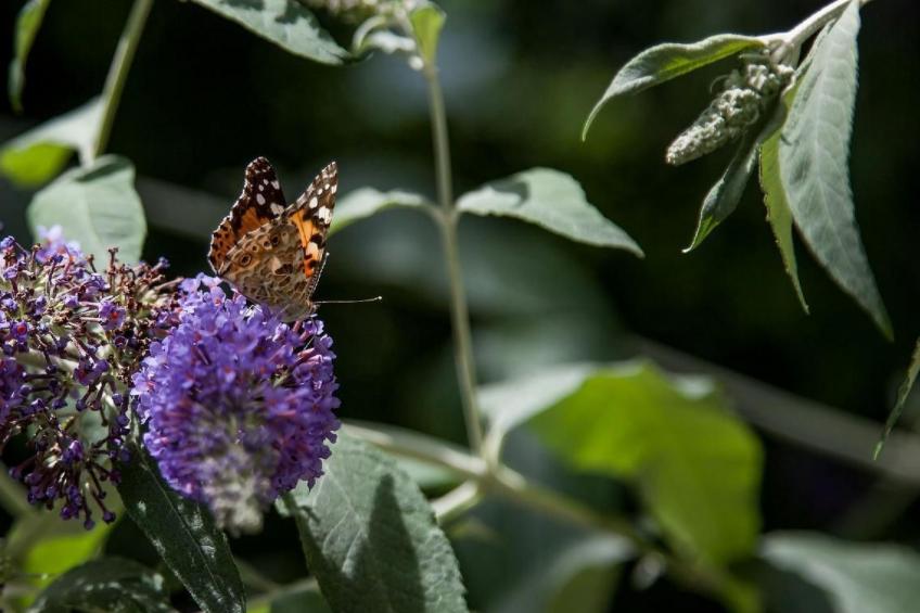 Wohnung 'Huts 3' mit Wasserblick - foto 22