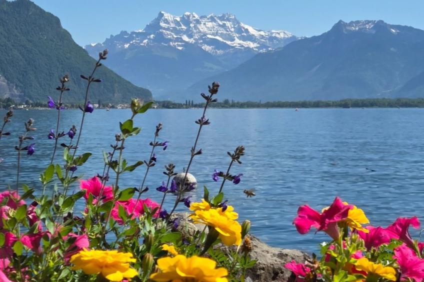 Chalet "Ecureuil" in den Portes du Soleil im Wallis - foto 47
