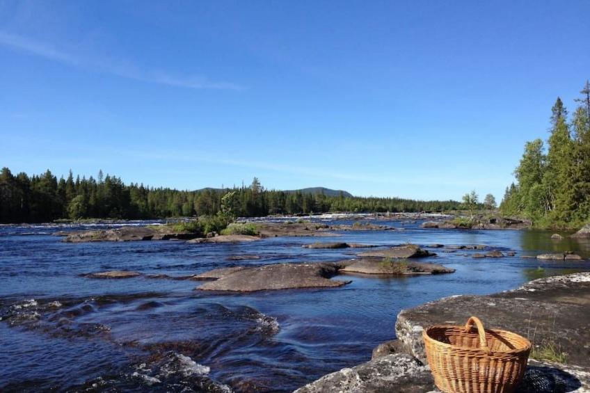 mit Garten, Grill und Terrasse - foto 42