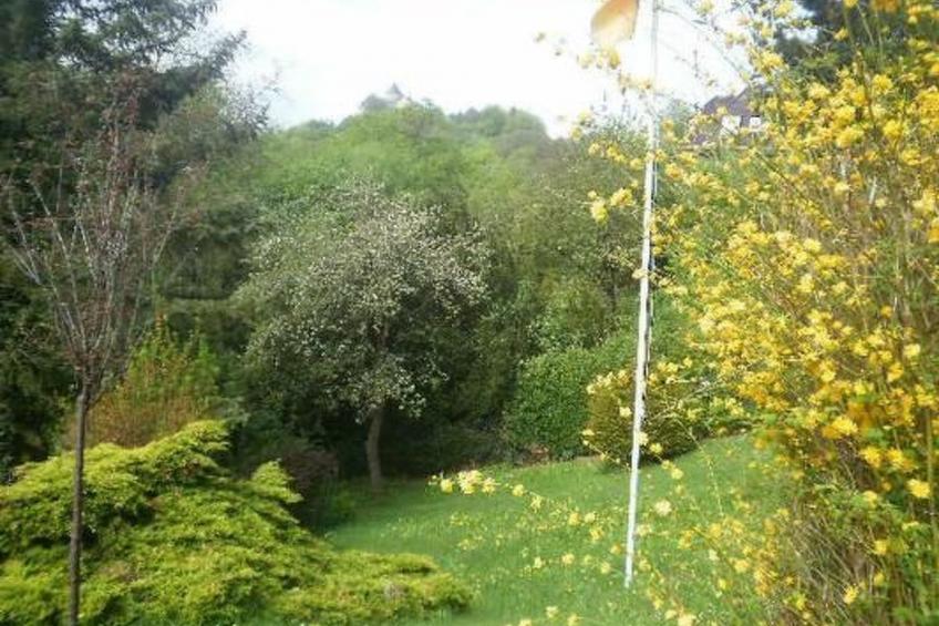 Schlossblick mit Teilseeblick - foto 14