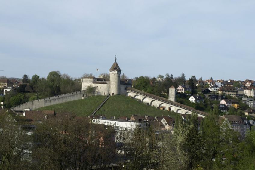 491206 - foto 32
