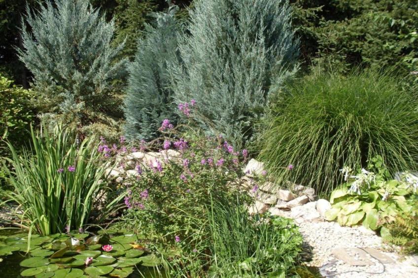 Pannonia M03 - foto 20