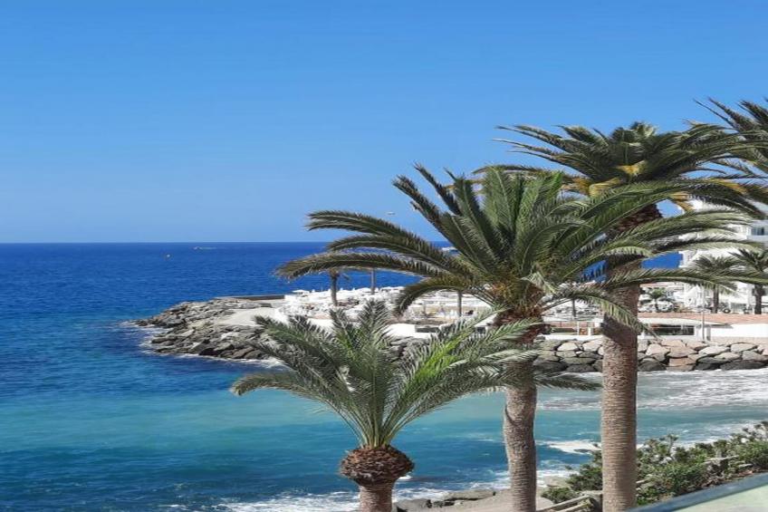 Mogan Playa - foto 28