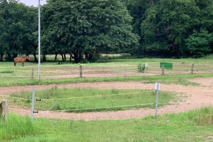 Wohnung in Dreveskirchen mit Kleinem Garten - foto 22