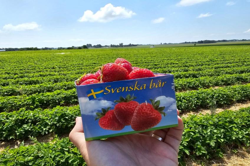 Studio lägenhet - foto 7