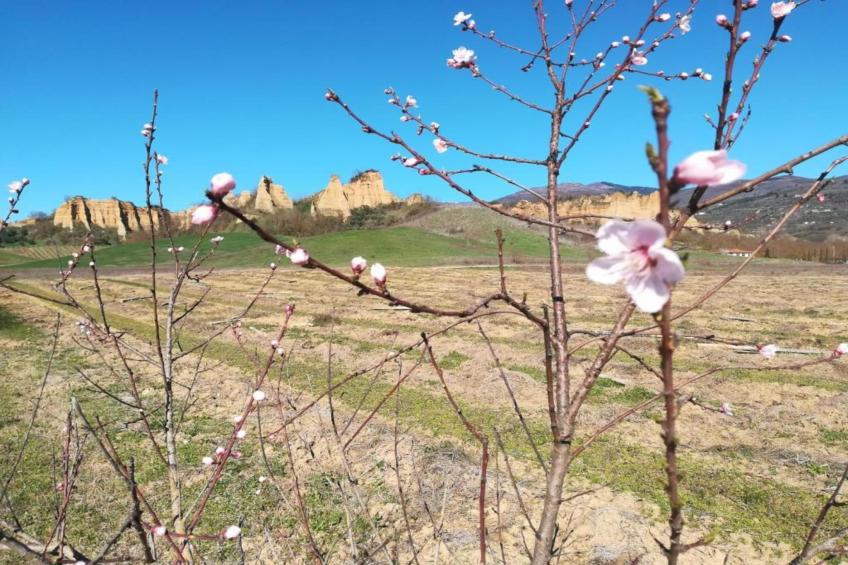Podere Pulicciano Orciaia - foto 31