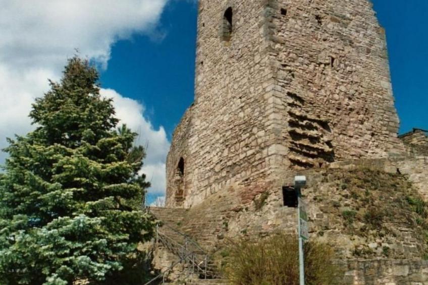 Haus Eicihhölzchen - foto 18