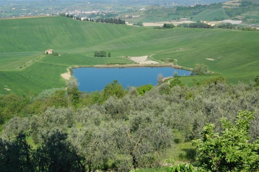 Sotto Colle - foto 32