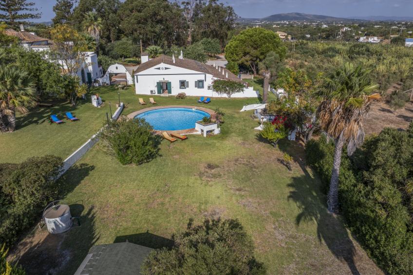 Jardim do Sul - foto 33