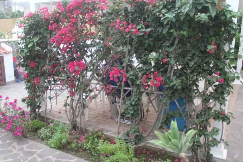 Wohnung in Lipari mit Terrasse - foto 27