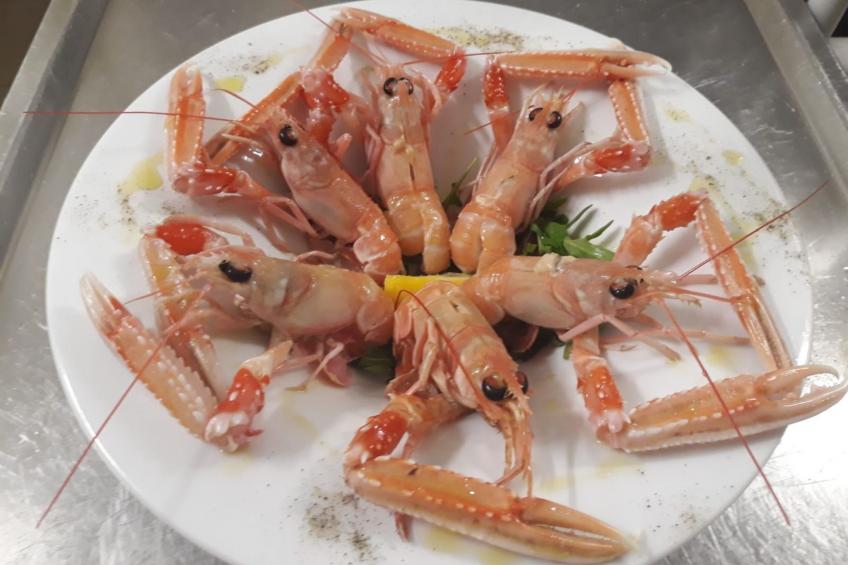 'Residence I Delfini - foto 17