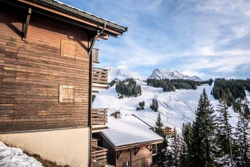 Slow Chalet Maison Des Bois à 3min Des Pistes à Pied - Ski Nordique + Alpin - foto 17