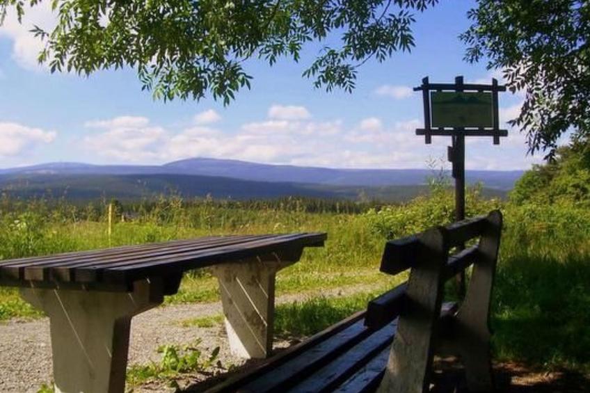 Fewo Katzengold - foto 13