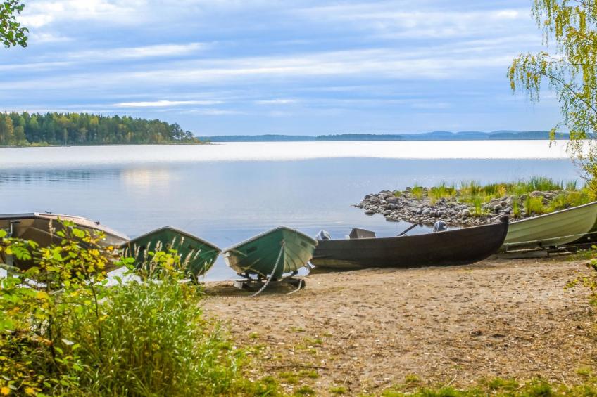 Koli, cjoe070a purnuranta