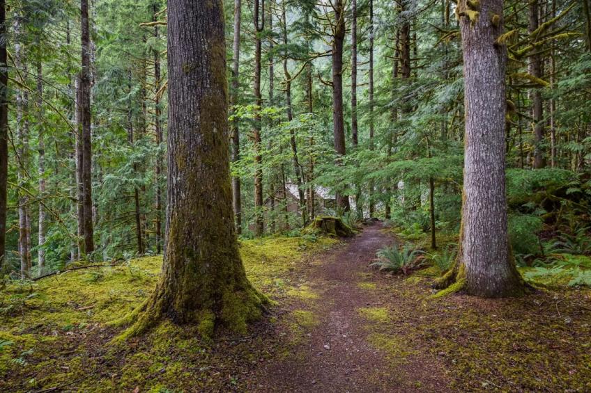 Luxus-Eigentumswohnung mit Kamin und tollen Annehmlichkeiten - foto 16