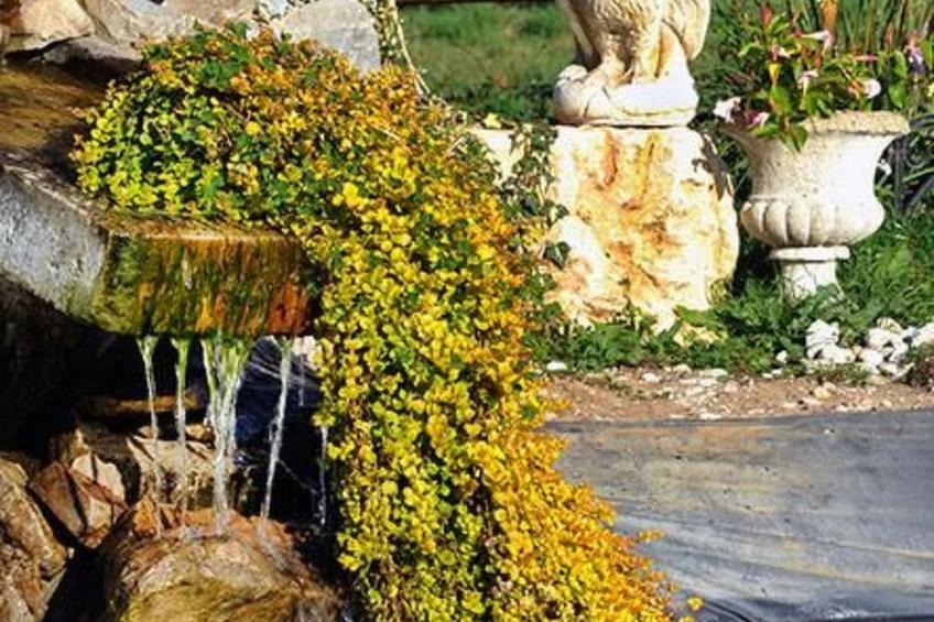 mit Terrasse - foto 16