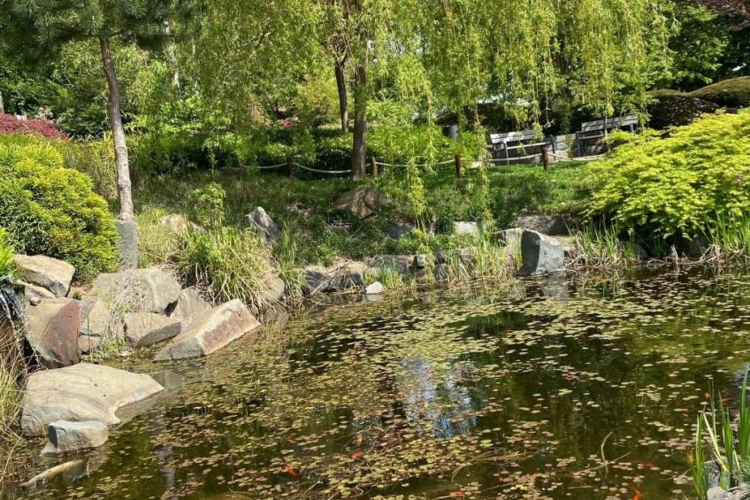 Schöndorf - foto 56