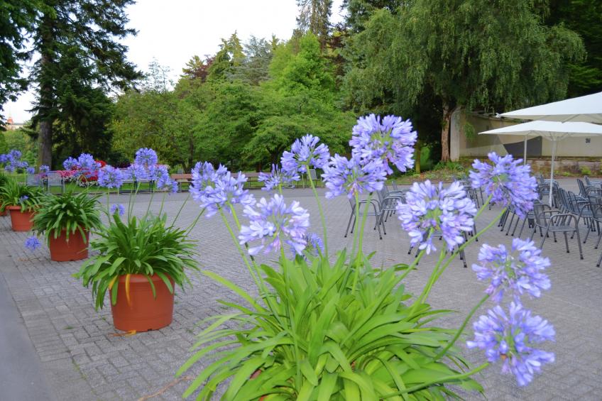 Am Ferienbauernhof - foto 39