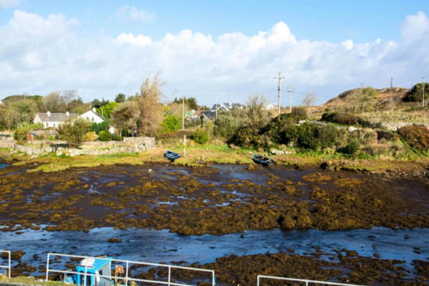 Maison à Carraroe Galway - foto 66