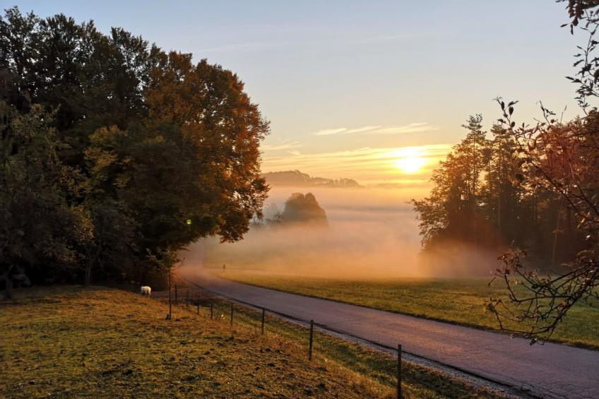 Appartement Apollo in der Wohlfühloase am Trausdorfberg mit Sauna Whirlpoolnutz - foto 46
