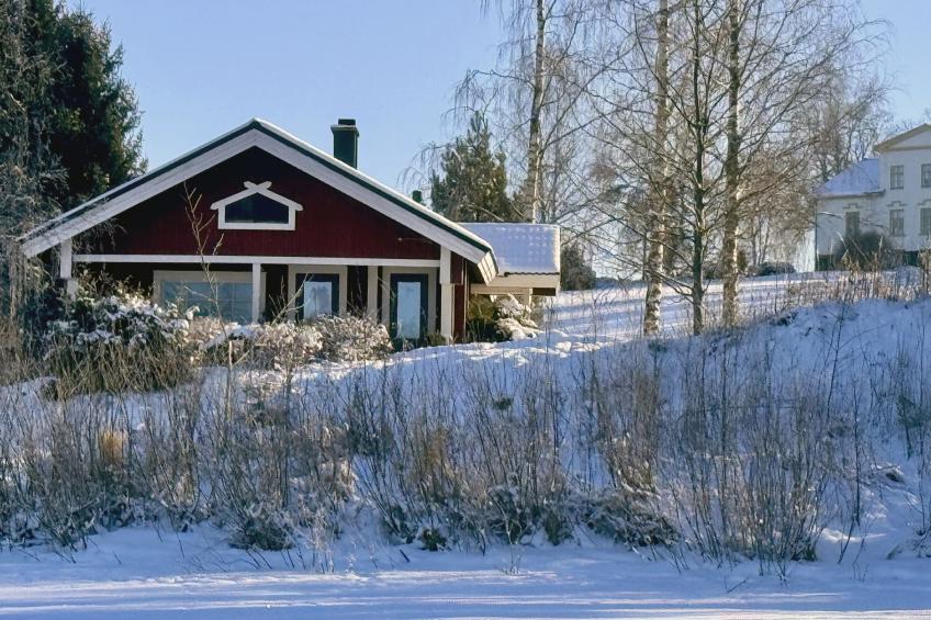 Peltosirkku, seeteri - foto 5