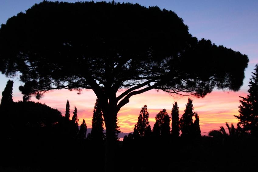 'Haus am Zitronenhain' - foto 28