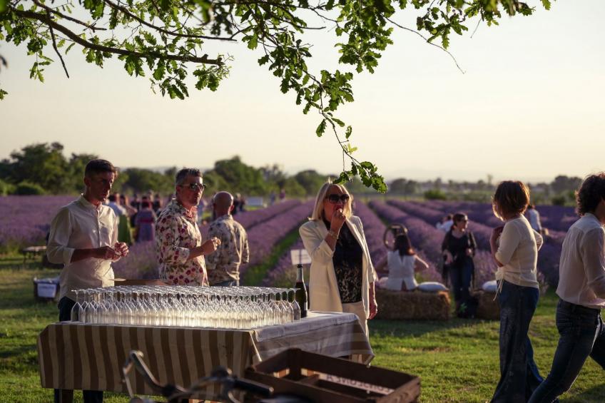 'Molinello albicocco' - foto 21