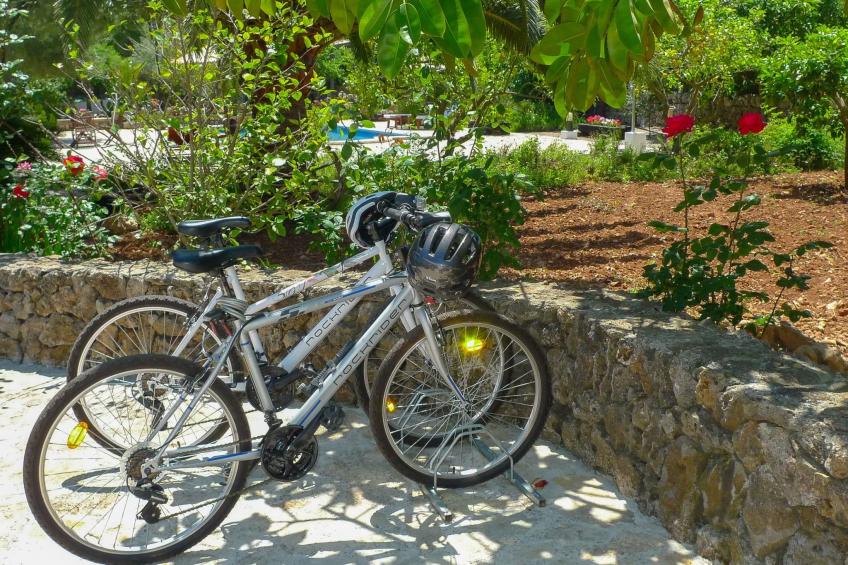 Mulet Llubi - foto 25