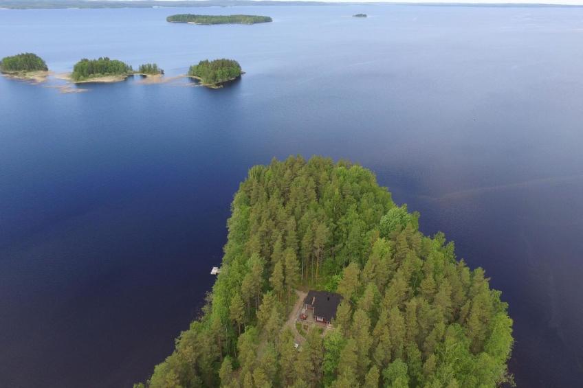 Rääkkylä, villa raita - foto 3