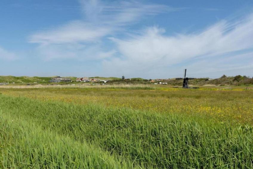 Zilte Bries - foto 34