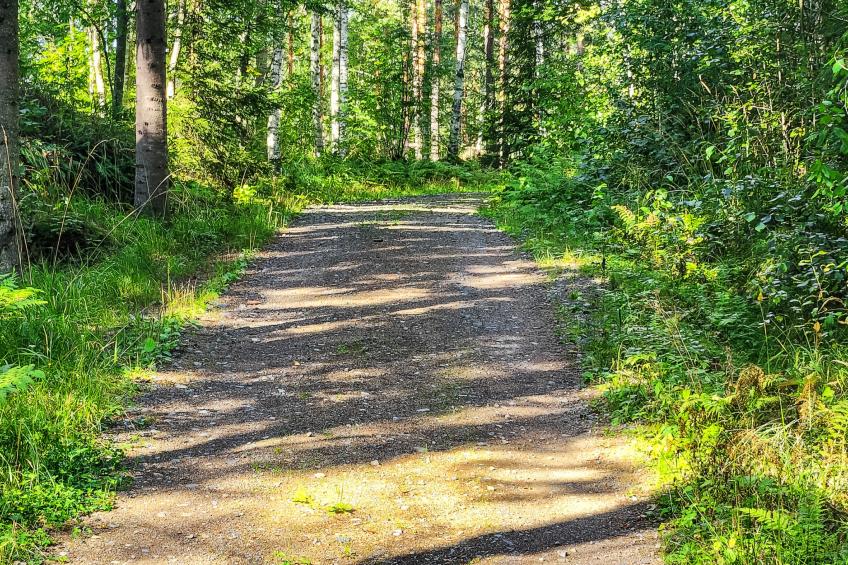 Villa soittoranta - foto 13