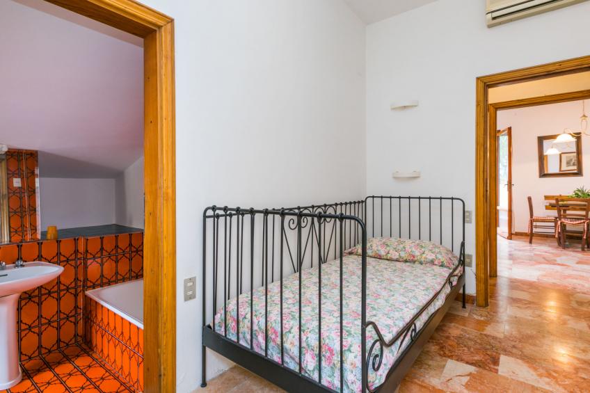 Dalia - foto 26