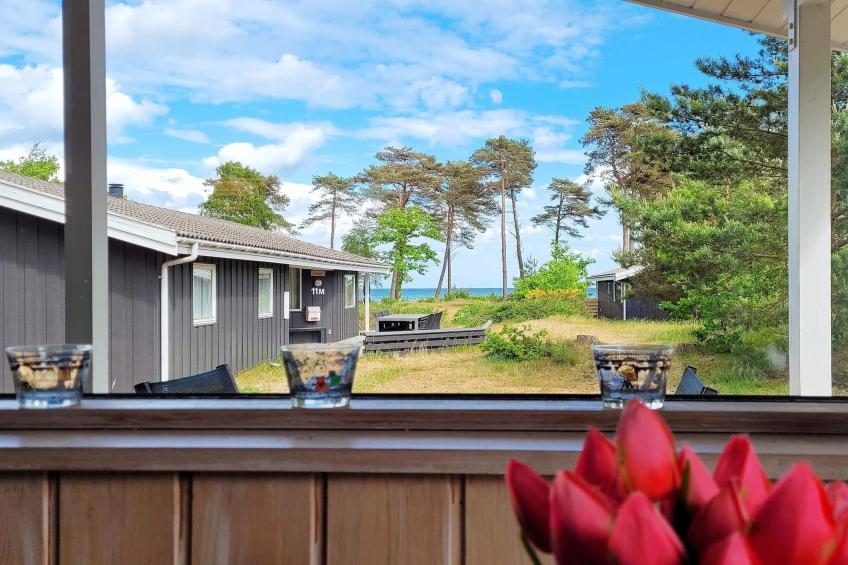 FUGLEKONGEN - foto 15