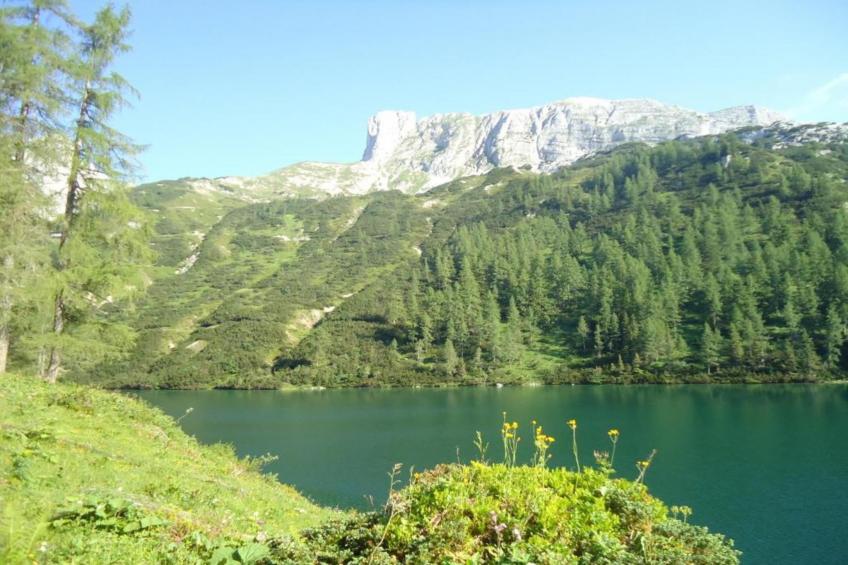 Lahnberg - foto 15