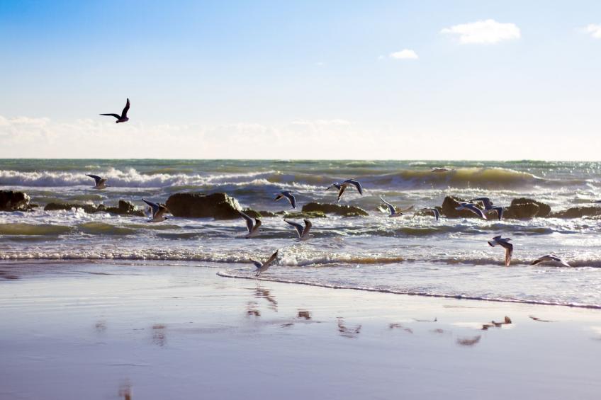 Baraka Two-rooms Apartment (3 Pax) - foto 17