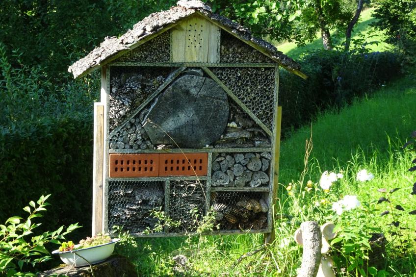 FeWo Panorama - foto 29