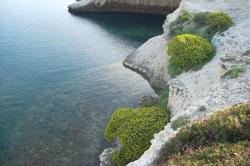 Wohnung S'archittu - foto 32