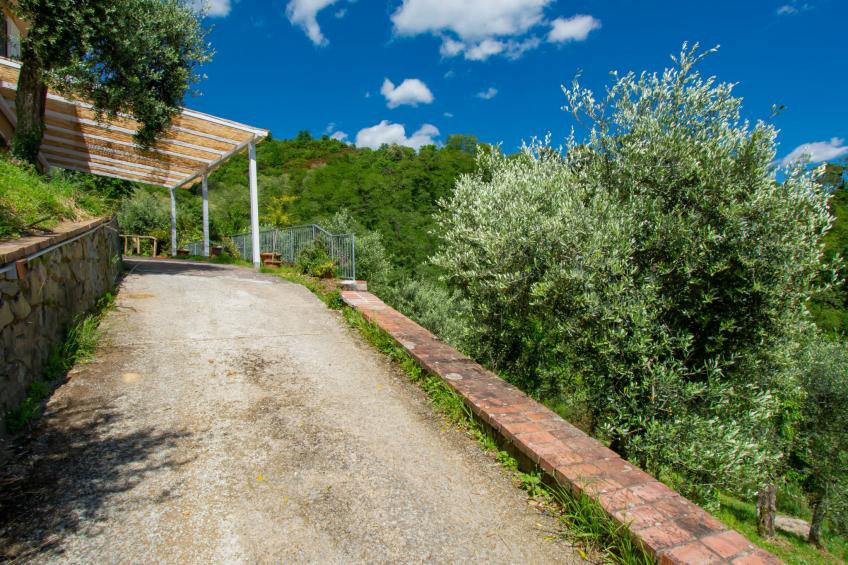 Il Paradiso - foto 50