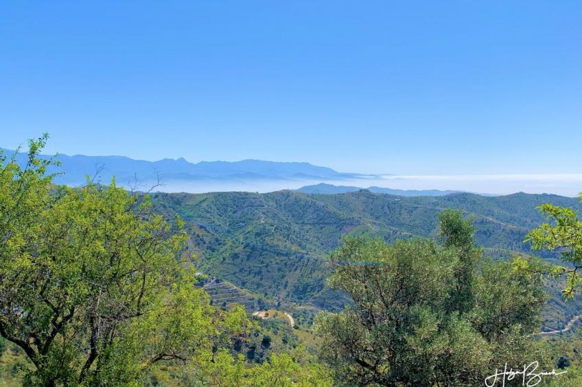 Villa Axarquia - foto 82