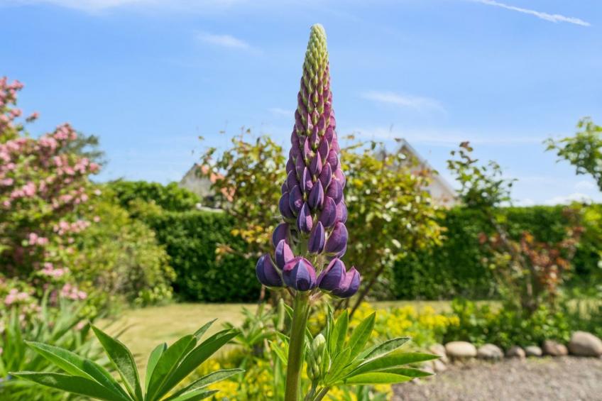 "Keld" - 350m from the sea - foto 6