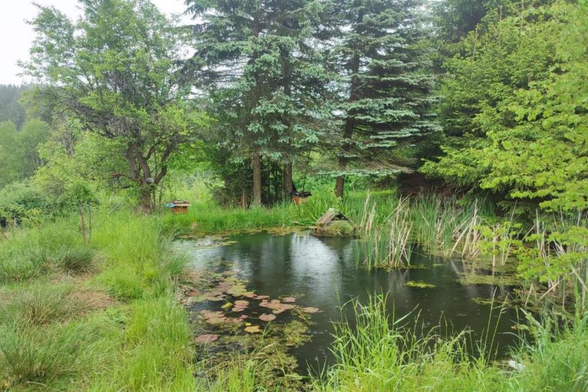 Vakantiepark de Tabaksschuur 2 - foto 18