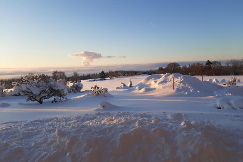 Gustis Hüsli - Alpensicht & Natur pur - foto 60