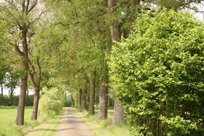 t Achterhoes - foto 23