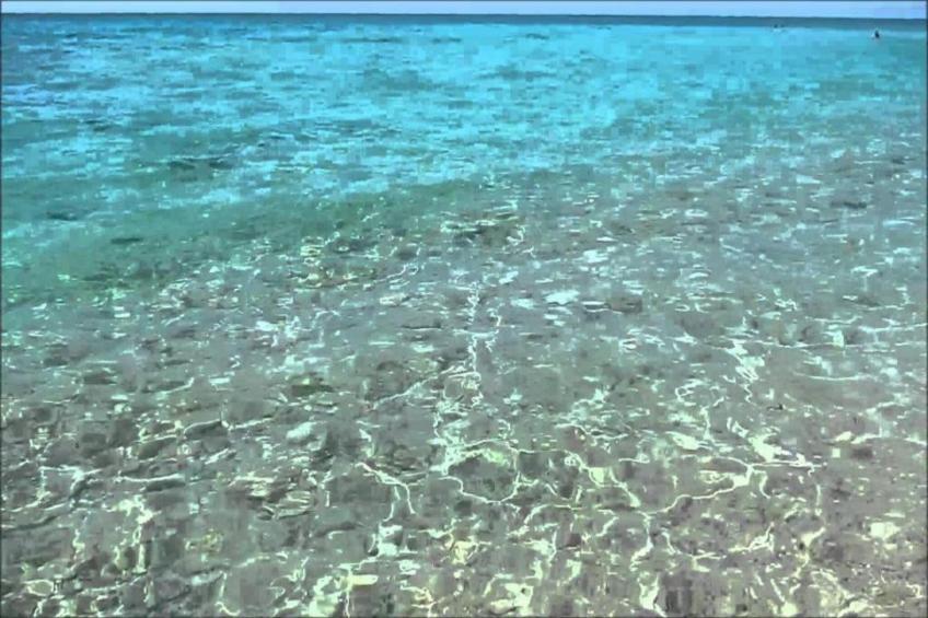 Tentua San Francesco 3 - foto 37